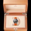 omeg a seamaster diver 300m automatic