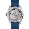 omeg a seamaster aqua terra world map automatic