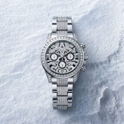Rolee_x Oyster Perpetual Tiger Silver
